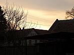Třibřichy